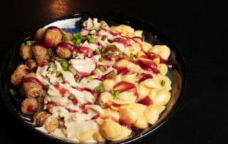 A bowl filled with mac and cheese shells, tater tots, roasted turkey drizzled with turkey gravy, cranberry and green onions.