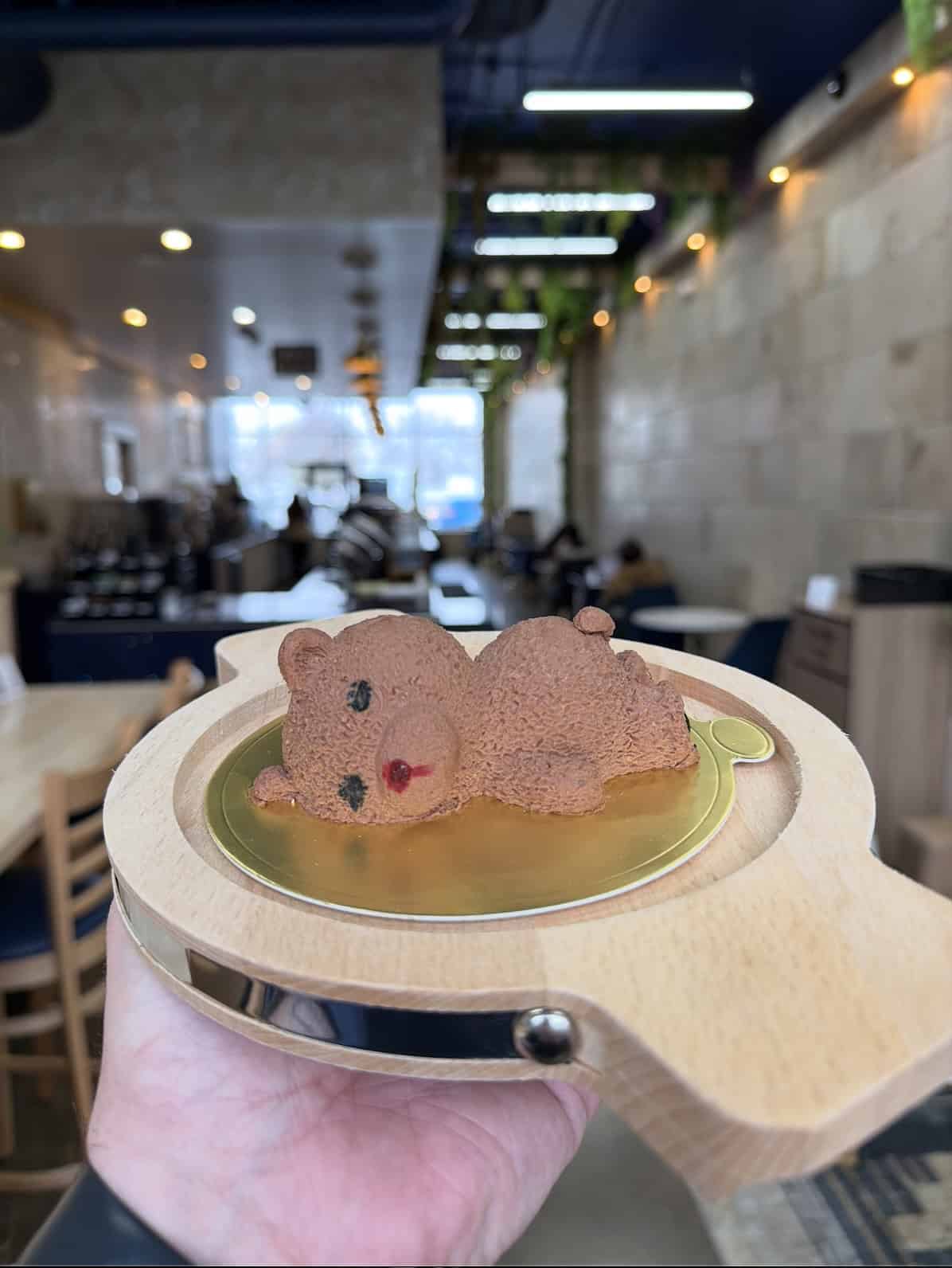 The Mocha House’s “Sleeping Bear” Dessert in Rochester. A chocolate mouse bear laying on a plate.